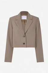 Blazer Salaney